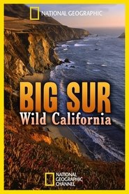 Poster Big Sur: Wild California 2010
