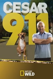 Cesar 911 постер