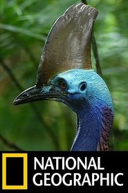 Bertha, l'oiseau dino movie poster