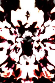 Various Loops (1970)