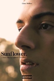 Poster Sunflower