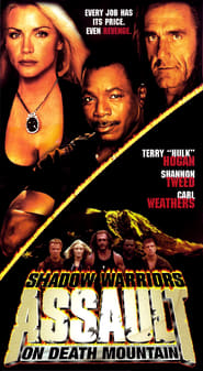 Shadow Warriors - Assault on Death Mountain постер