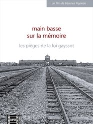 Main basse sur la mémoire, les pièges de la loi Gayssot