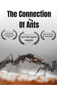 The Connection of Ants