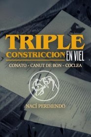 TRIPLE CONSTRICTION IN VIEL (2025)