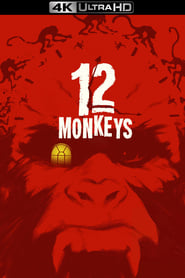 Дванадцять мавп постер