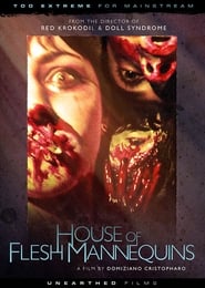 House of Flesh Mannequins постер