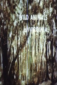 Wild Animals of Virginia (1967)