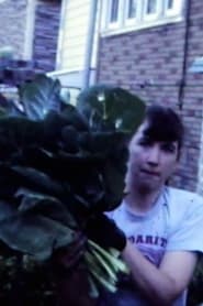 Collards Garden, 1985 1985