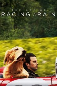 The Art of Racing in the Rain movie