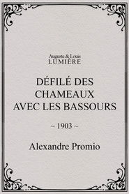 Défilé des chameaux avec les Bassours