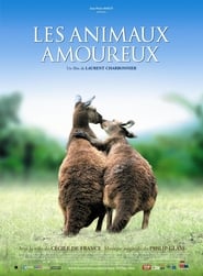 Les Animaux Amoureux en streaming