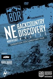 Poster Northeast BDR 2020