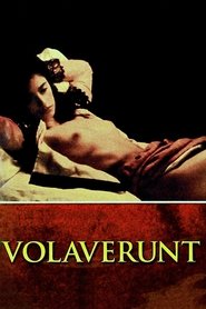 Poster Volaverunt 1999