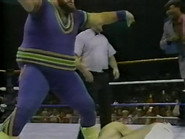 December 24, 1988 - Superstars of Wrestling 121