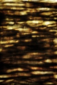 Poster DIVINING 2019