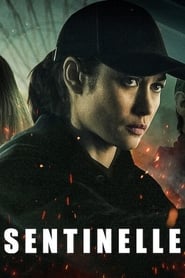 Sentinelle 2021 Movie NF WebRip English French ESub 480p 720p 1080p