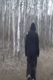 A Sudden Interest In Nature