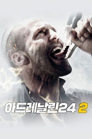 아드레날린 24 2 (2009)