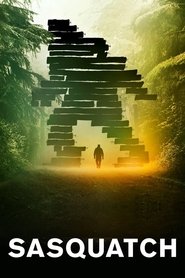Poster for Miniseries