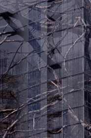 Poster The City is a Heat Island & our Forests are on Fire 2020