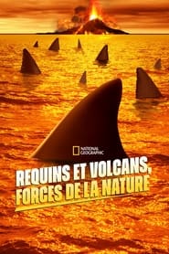 Requins et volcans, forces de la nature streaming