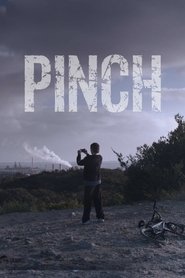 Poster Pinch 2015