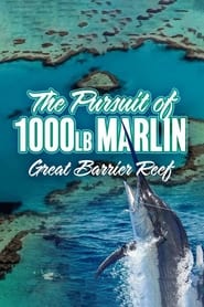 The Pursuit of 1000-Pound Marlin: Great Barrier Reef