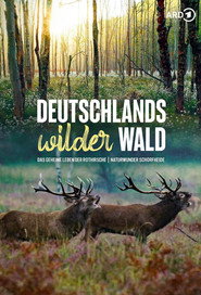Deutschlands wilder Wald