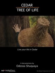 Cedar Tree of Life