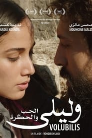 Poster أيام الصيف