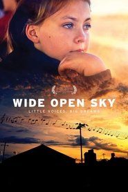 Poster Wide Open Sky 2015