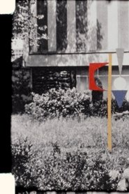 Events Meant to Be Forgotten (2020)