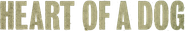 Heart of a Dog Logo