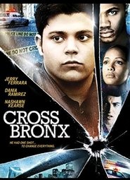 Cross Bronx постер