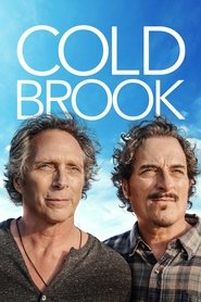 Cold Brook(2019)