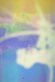 Luciano Pea: Video Portrait