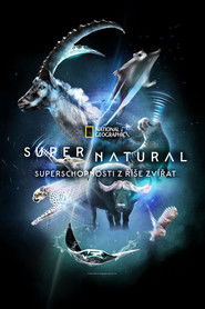 Super/Natural: Superschopnosti z říše zvířat