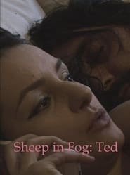 Sheep in Fog постер