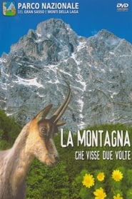 Poster La montagna che visse due volte