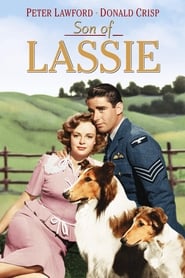 Son of Lassie постер