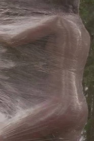 The Poacher Woman of the Montafon