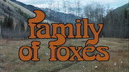 Family Of Foxes
