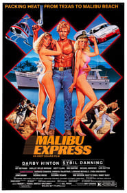 Malibu Express постер