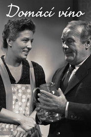 Domácí víno