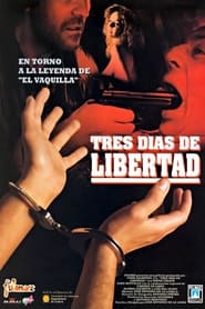 Poster Tres días de libertad