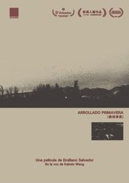 Arrollado Primavera