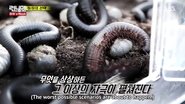 Member's Week 5 - Haha's Choice