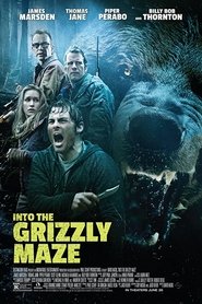 Into the Grizzly Maze [Into the Grizzly Maze]