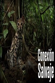 Wild Connection (2011)